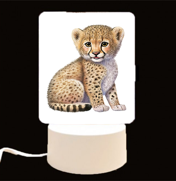 CUSTOMIZE IT - LED Light Ups / Night Lights