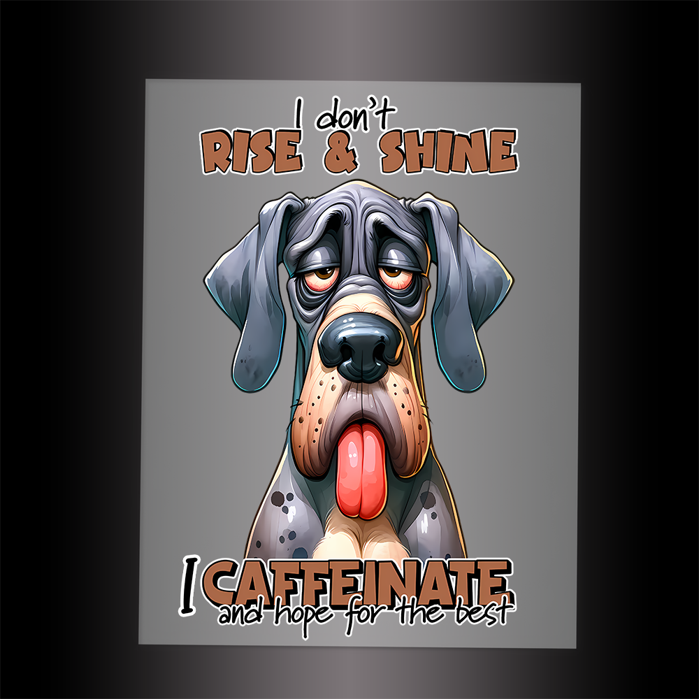 (DTF-710) I DON'T RISE & SHINE - Garment Transfer
