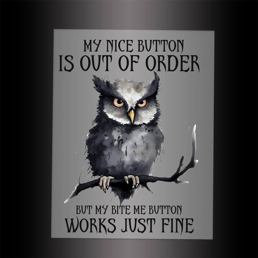 (DTF-790) MY NICE BUTTON IS OUT OF ORDER - Garment Transfer