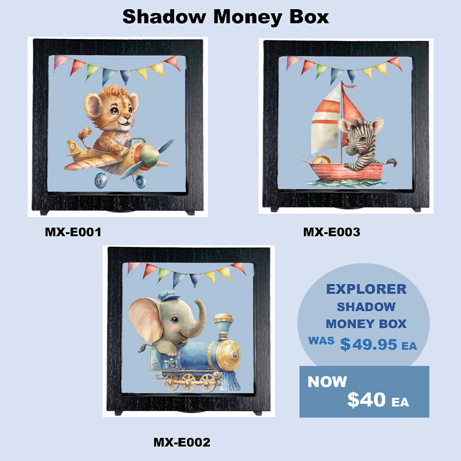 SHADOW MONEY BOX | THE EXPLORER COLLECTION
