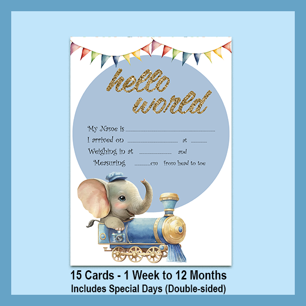 ELEPHANT MILESTONE CARD SET | EXPLORER COLLECTION