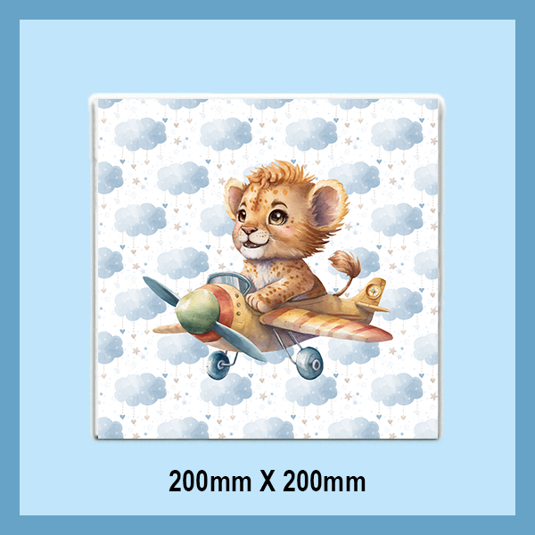 Ceramic Tiles 200x200mm | EXPLORER COLLECTION