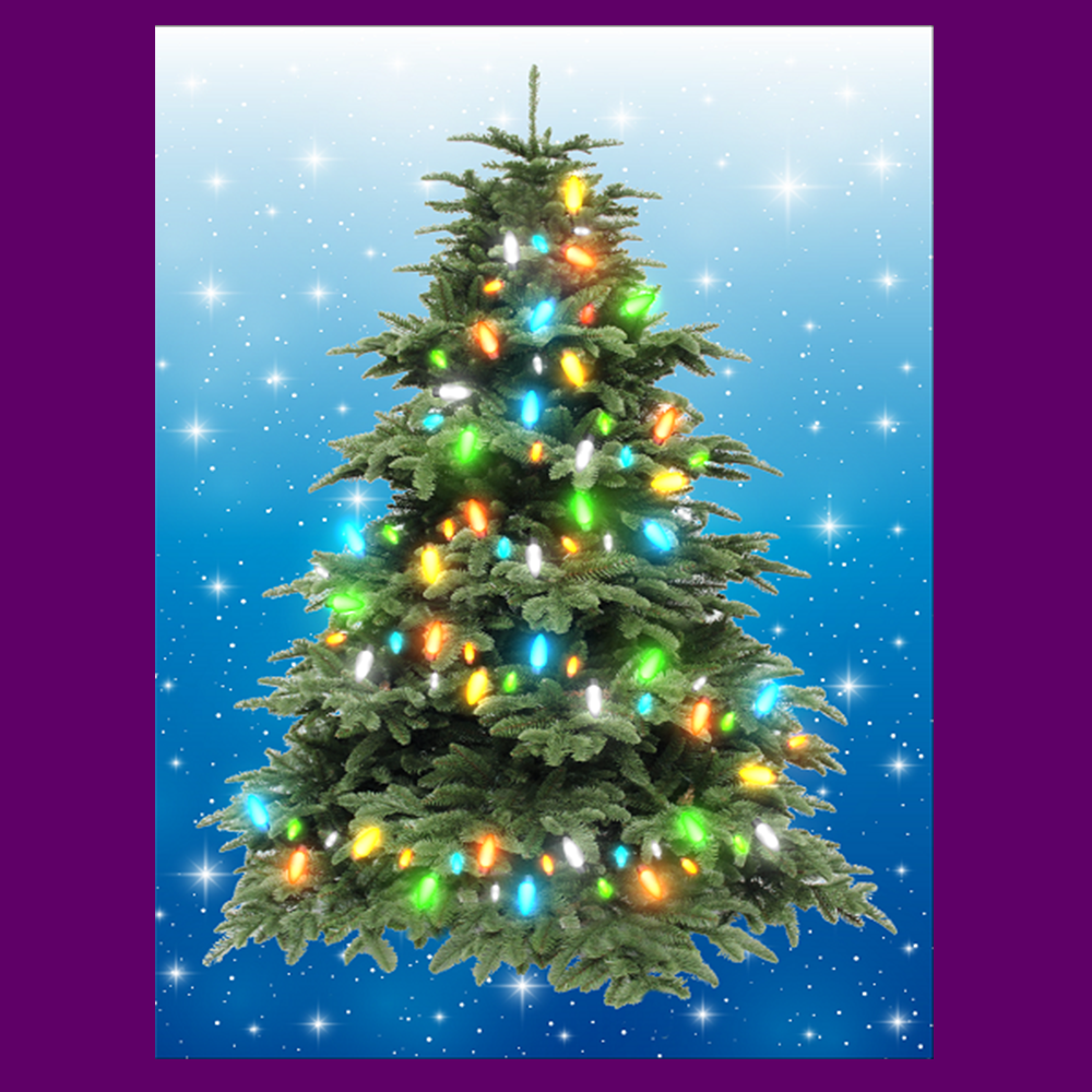 BYO - Magnetic Christmas Tree