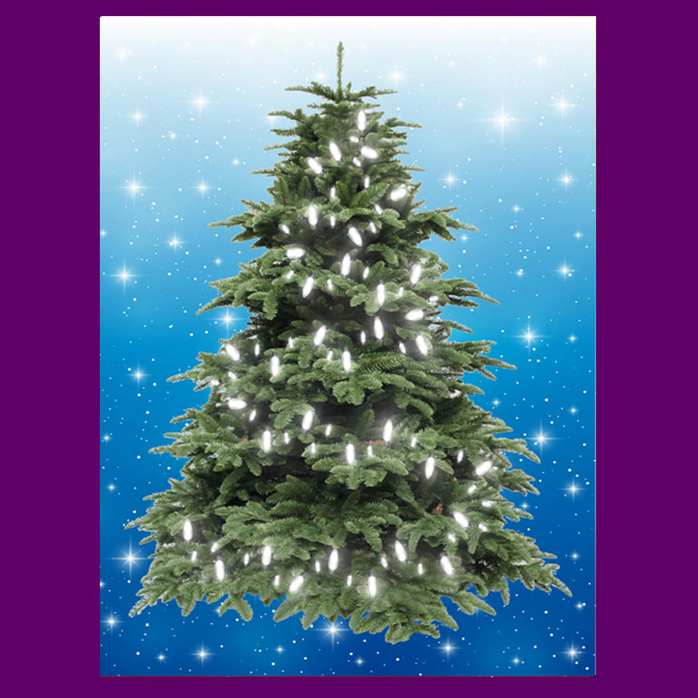 BYO - Magnetic Christmas Tree
