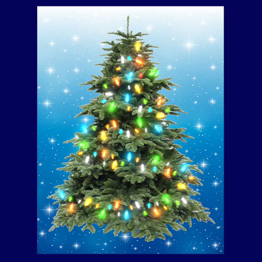 BYO - Magnetic Christmas Tree