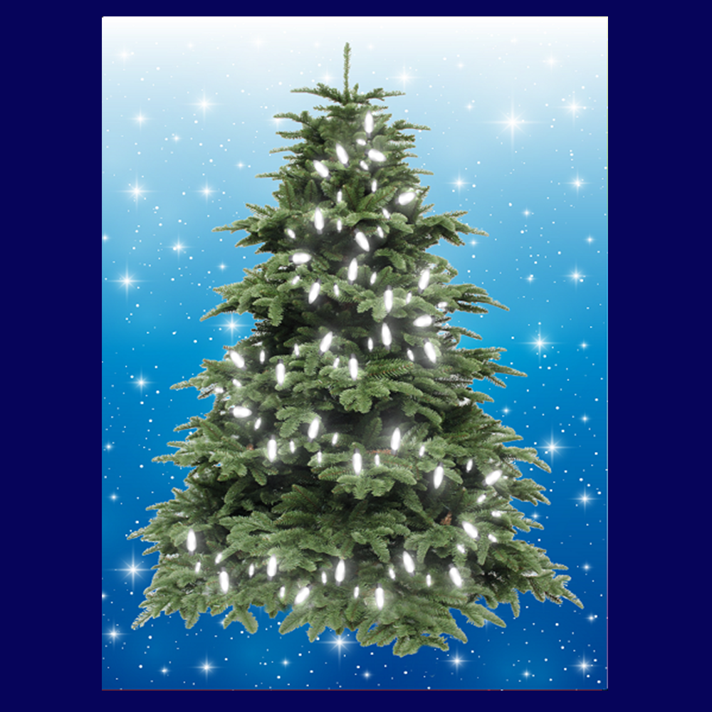 BYO - Magnetic Christmas Tree