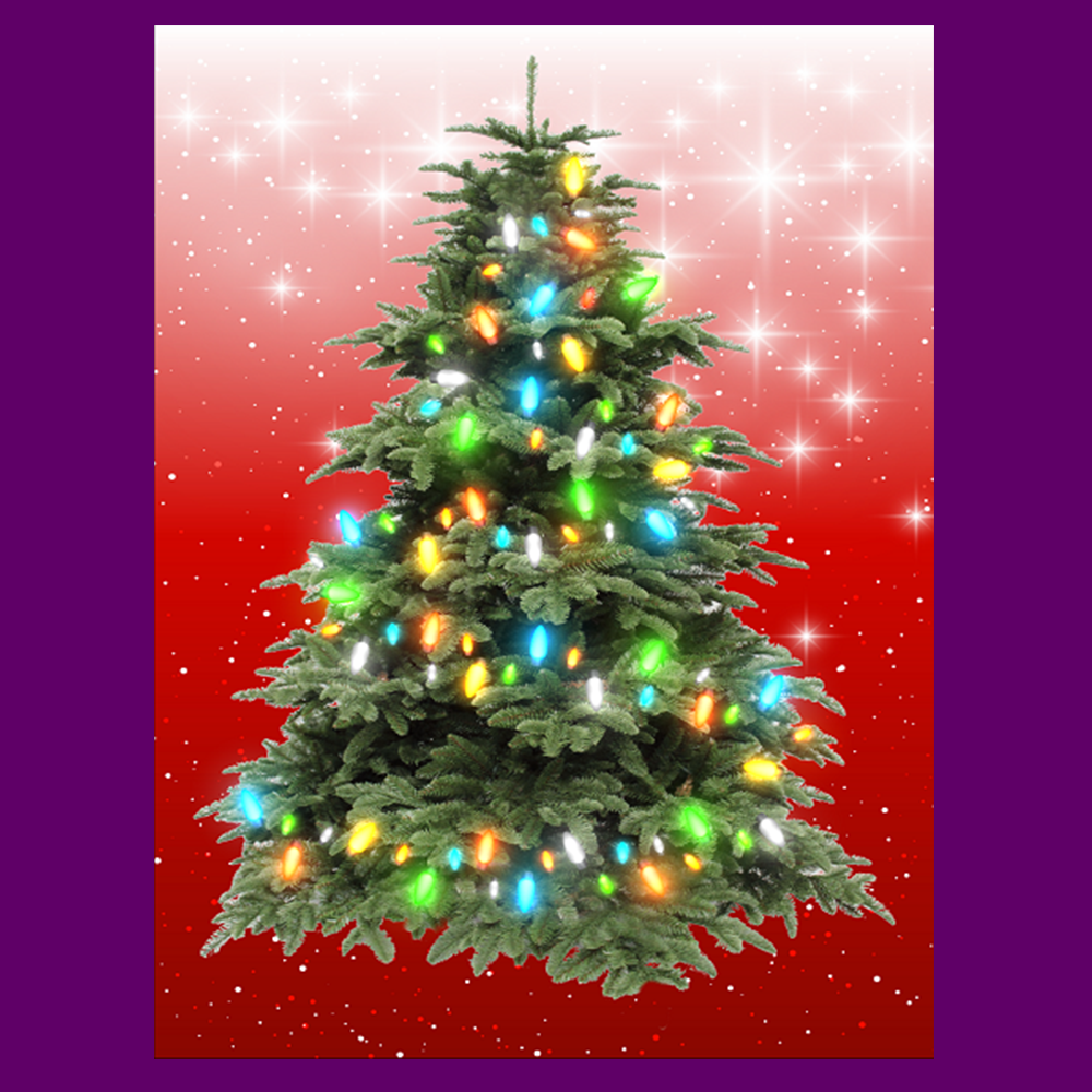 BYO - Magnetic Christmas Tree