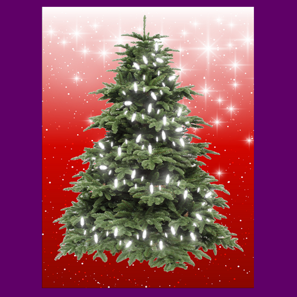 BYO - Magnetic Christmas Tree