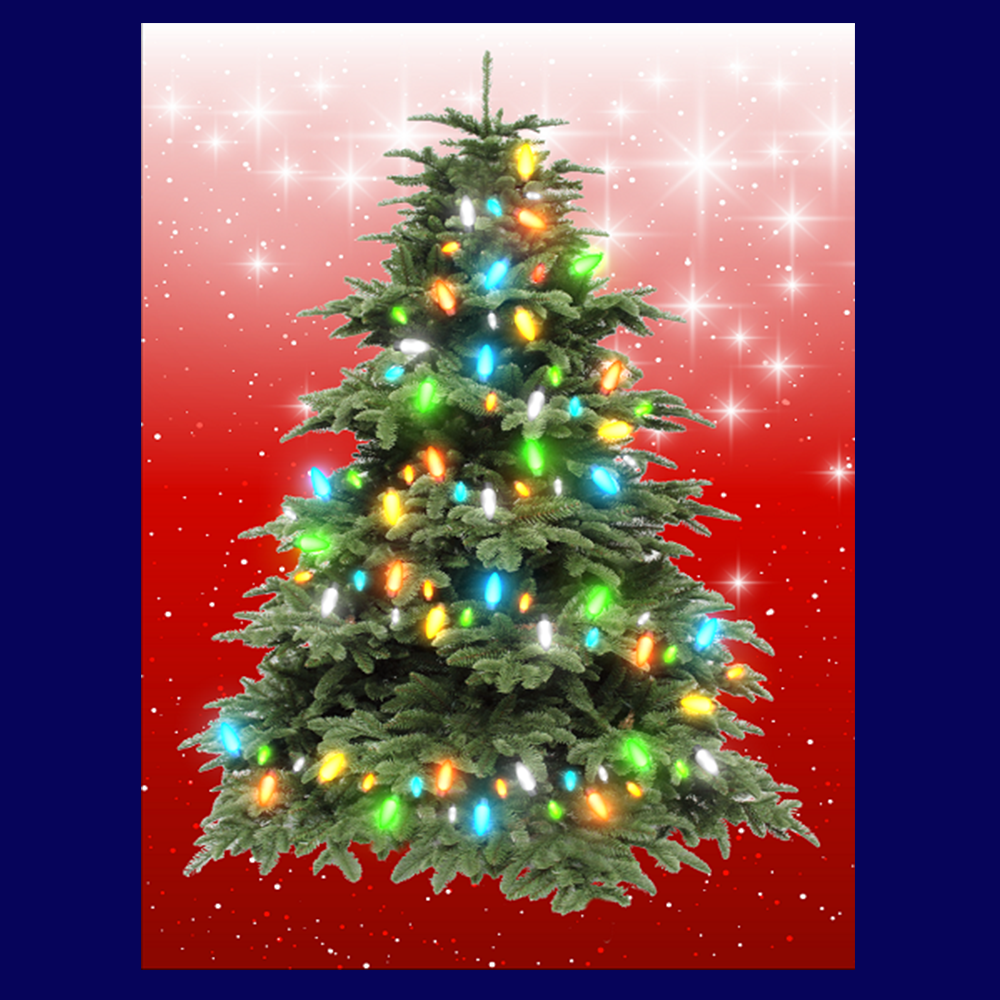 BYO - Magnetic Christmas Tree