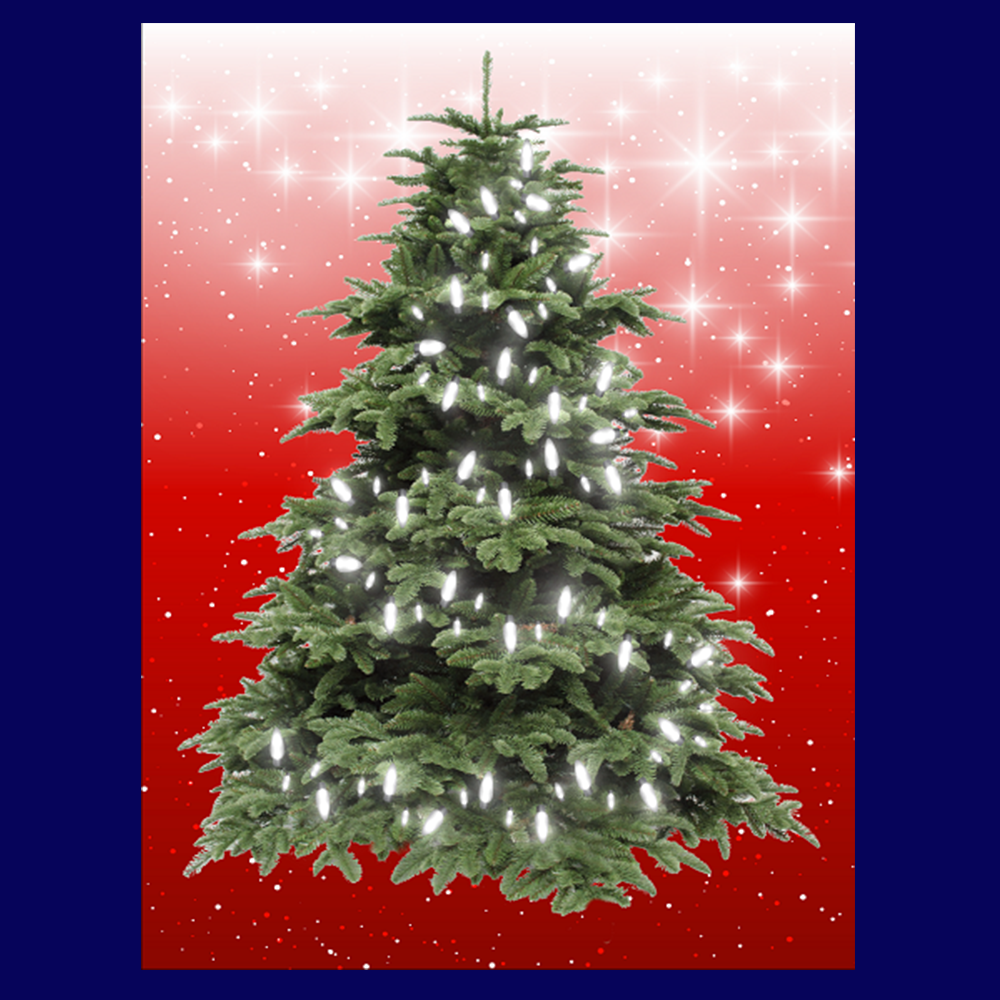 BYO - Magnetic Christmas Tree