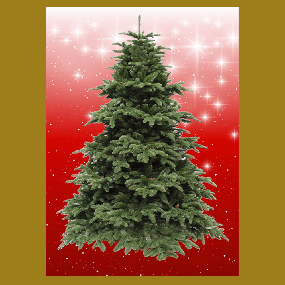 BYO - Magnetic Christmas Tree