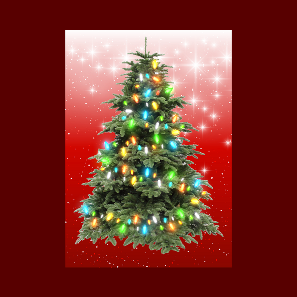 MEDIUM - RED (40cm x 60cm) - Lights 50 MULTI