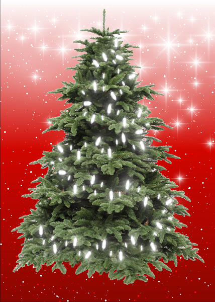 MEDIUM - RED (40cm x 60cm) - Lights 20 WHITE
