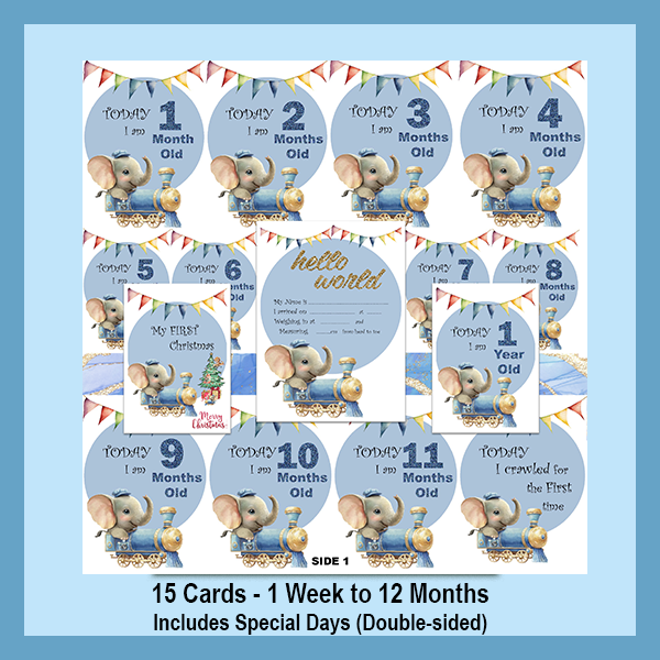 ELEPHANT MILESTONE CARD SET | EXPLORER COLLECTION