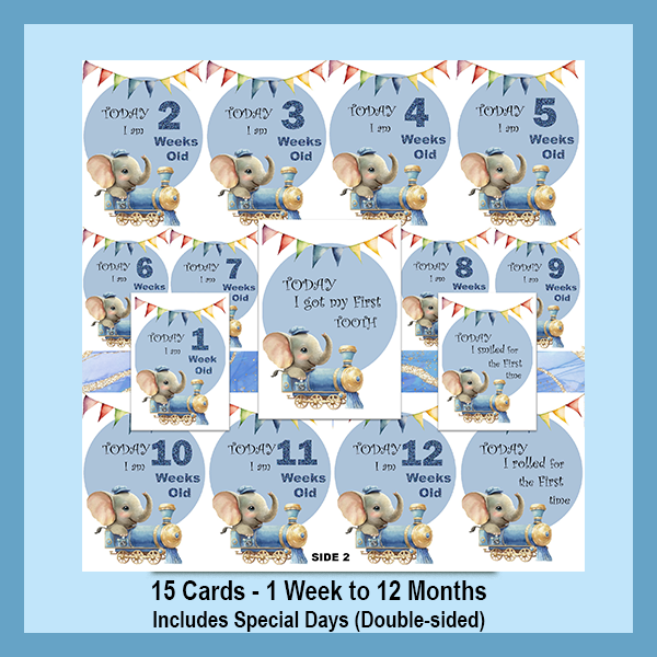 ELEPHANT MILESTONE CARD SET | EXPLORER COLLECTION