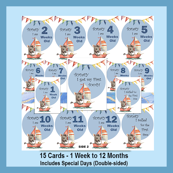 ZEBRA MILESTONE CARD SET | EXPLORER COLLECTION