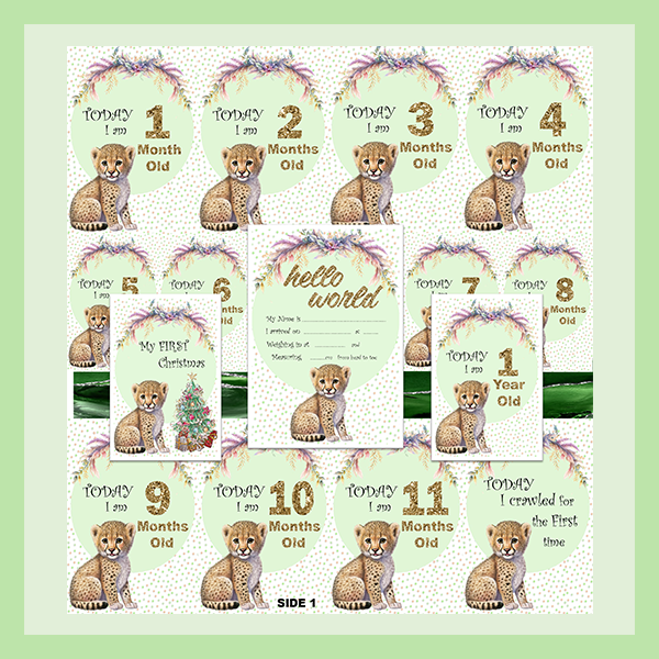 MILESTONE CARD SET - CHEETAH | JUNGLE COLLECTION