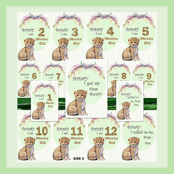 MILESTONE CARD SET - CHEETAH | JUNGLE COLLECTION