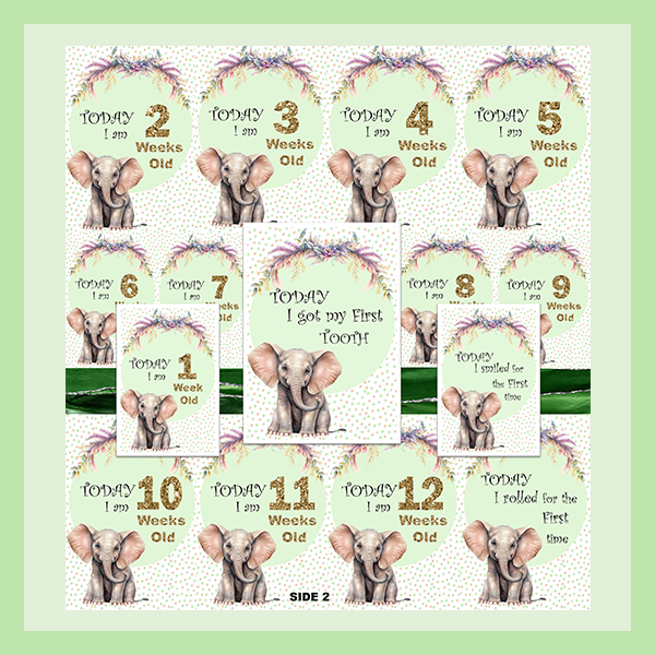 MILESTONE CARD SET - ELEPHANT | JUNGLE COLLECTION