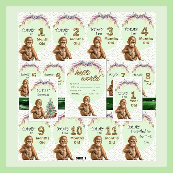 MILESTONE CARD SET - MONKEY | JUNGLE COLLECTION