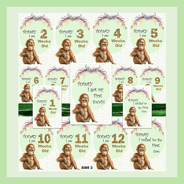 MILESTONE CARD SET - MONKEY | JUNGLE COLLECTION
