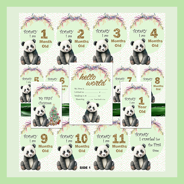 MILESTONE CARD SET - PANDA | JUNGLE COLLECTION