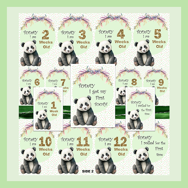 MILESTONE CARD SET - PANDA | JUNGLE COLLECTION