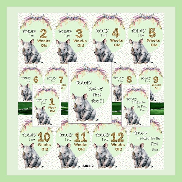 MILESTONE CARD SET - RHINOCEROS | JUNGLE COLLECTION