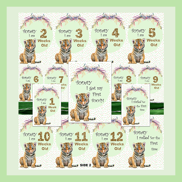 MILESTONE CARD SET - TIGER | JUNGLE COLLECTION