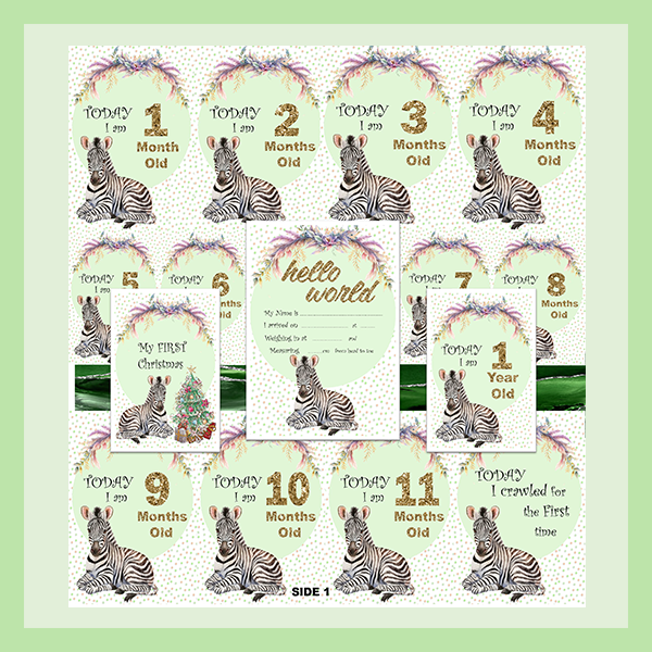 MILESTONE CARD SET - ZEBRA | JUNGLE COLLECTION