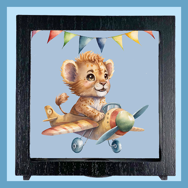 SHADOW MONEY BOX | THE EXPLORER COLLECTION