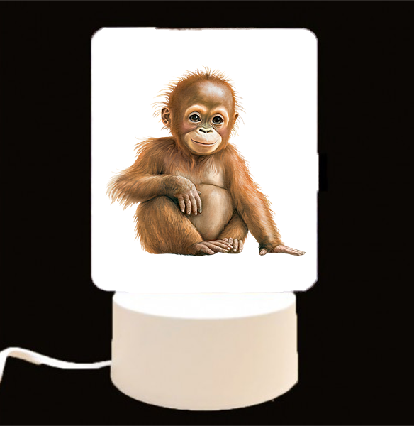 CUSTOMIZE IT - LED Light Ups / Night Lights