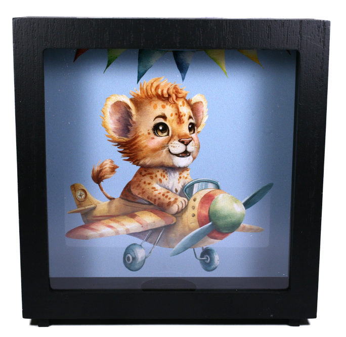 SHADOW MONEY BOX | THE EXPLORER COLLECTION