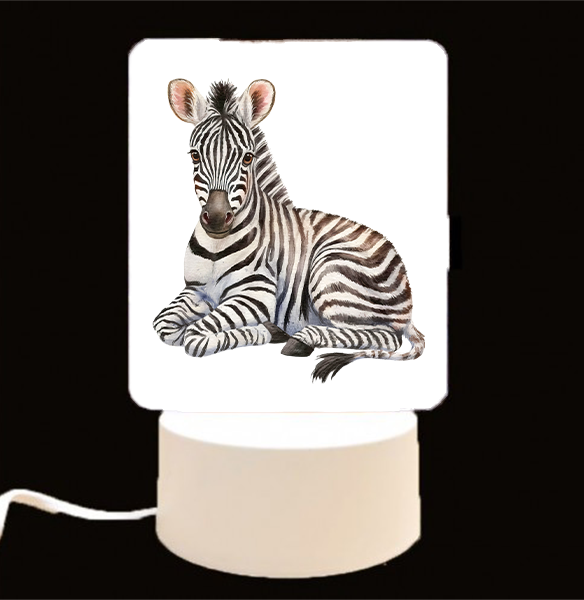 CUSTOMIZE IT - LED Light Ups / Night Lights