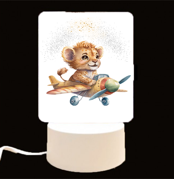 EXPLORER | LED Night Light Ups