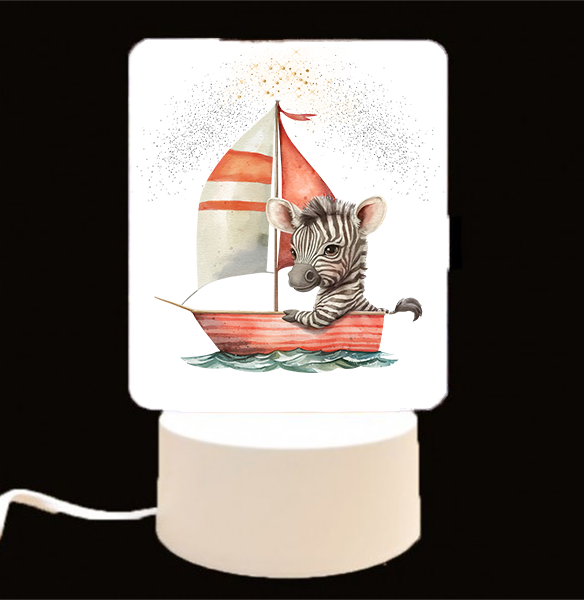 EXPLORER | LED Night Light Ups