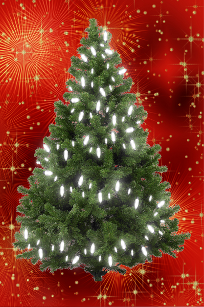 MEDIUM - RED/GOLD (40cm x 60cm) - Lights 50 WHITE