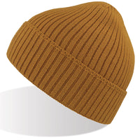 A4250 Viral Beanie