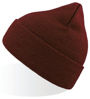 A4500 Eko Beanie