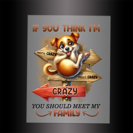 (DTF-029) IF YOU THINK I'M CRAZY ... MEET THE FAMILY - Garment Transfer
