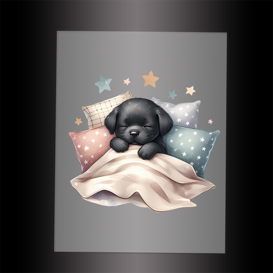 (DTF-1211) BABY BLACK LABRADOR 6 - Garment Transfer