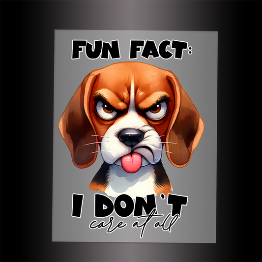(DTF-754) FUN FACT 0 I DON'T CARE - Garment Transfer