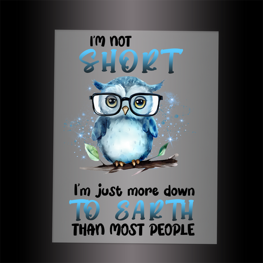 (DTF-784) I'M NOT SHORT - Garment Transfer