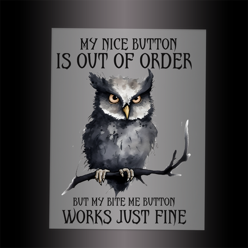 (DTF-790) MY NICE BUTTON IS OUT OF ORDER - Garment Transfer