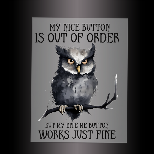 (DTF-790) MY NICE BUTTON IS OUT OF ORDER - Garment Transfer