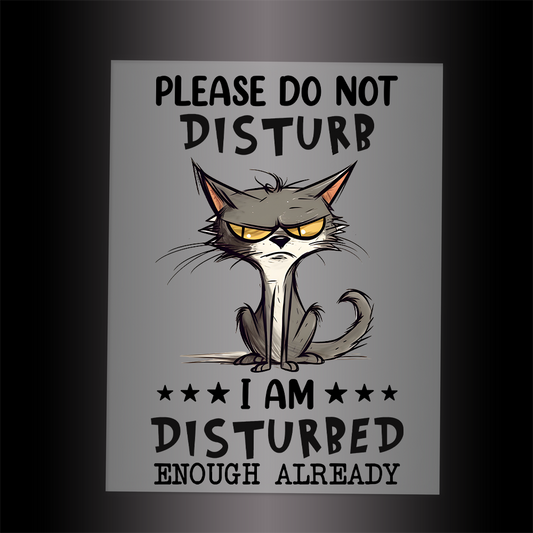 (DTF-791) PLEASE DO NOT DISTURB - Garment Transfer