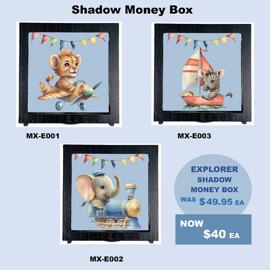 SHADOW MONEY BOX | THE EXPLORER COLLECTION