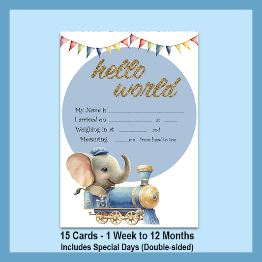 ELEPHANT MILESTONE CARD SET | EXPLORER COLLECTION