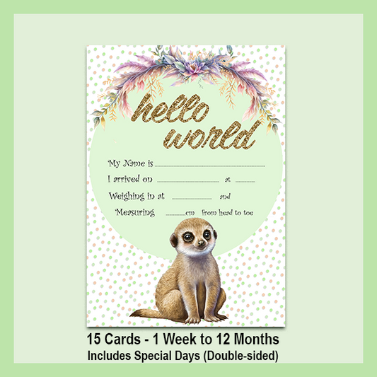 MILESTONE CARD SET - MEERKAT | JUNGLE COLLECTION