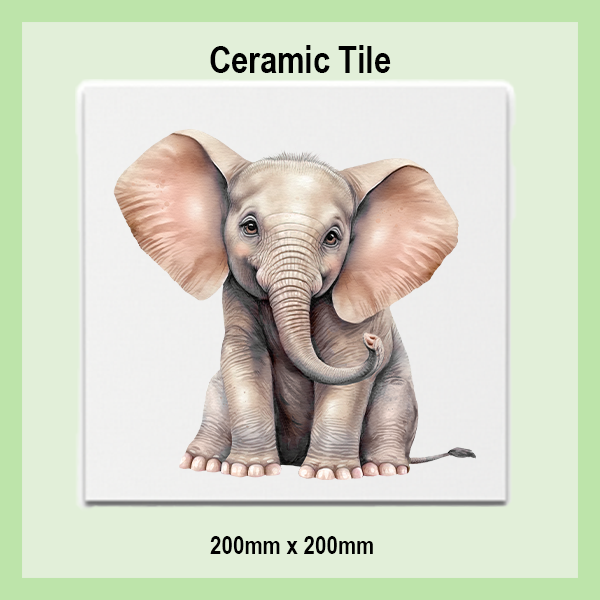 Ceramic Tiles 200x200mm | JUNGLE COLLECTION